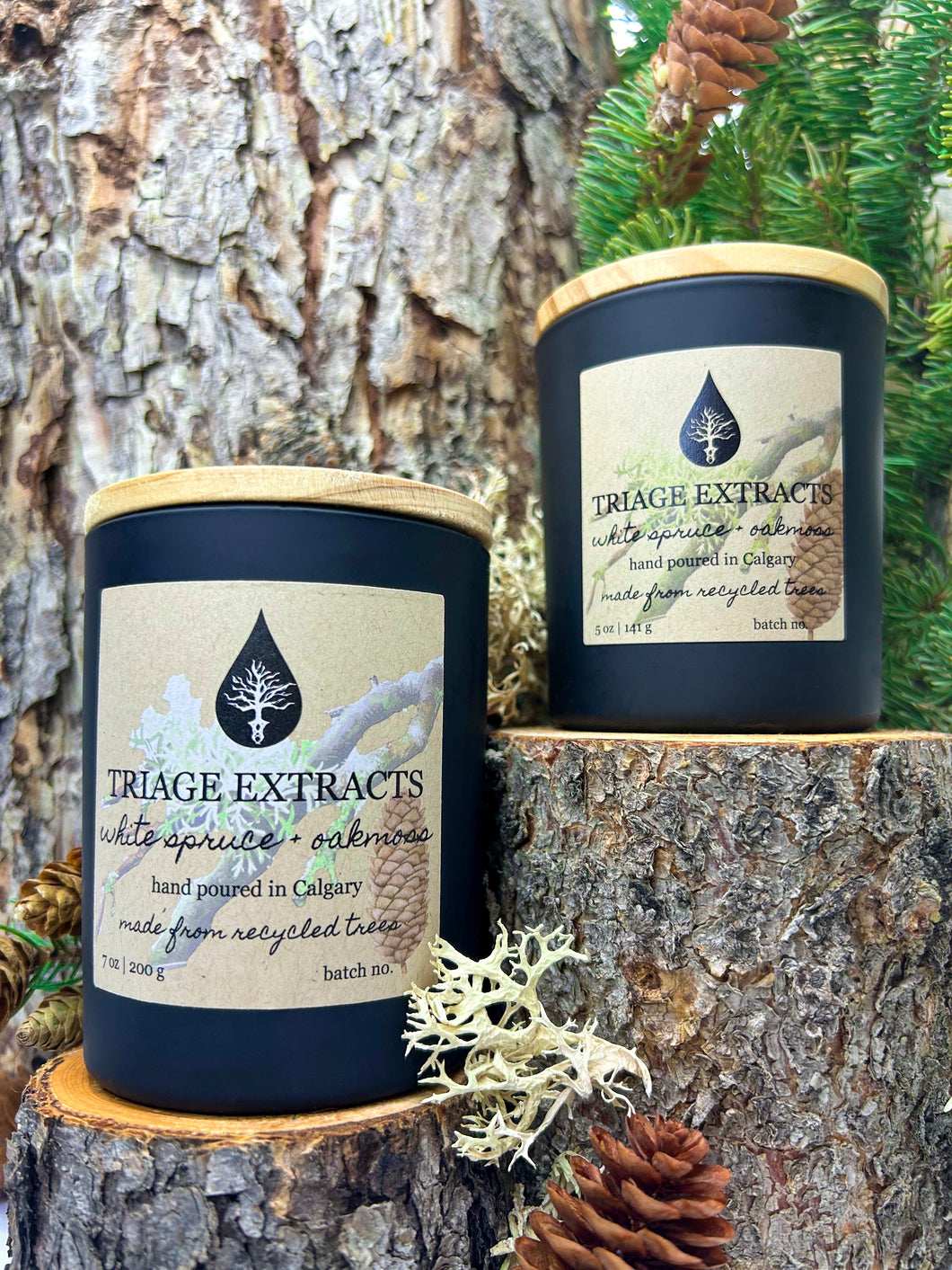 White Spruce & Oakmoss Candle