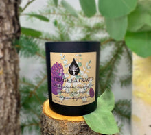 Load image into Gallery viewer, Black Spruce + Eucalyptus Candle
